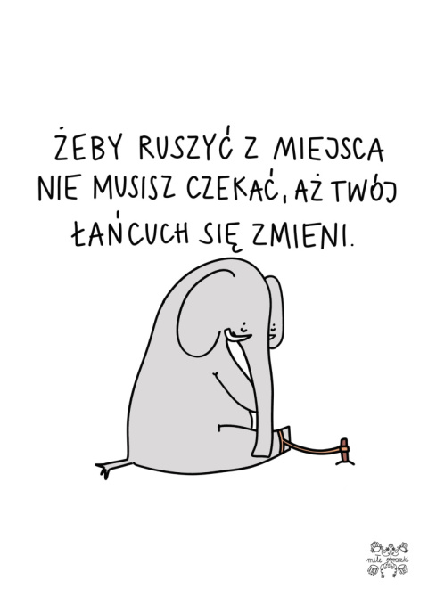 Plakat A3 "Słoń"